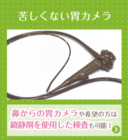 苦しくない胃カメラ 鼻から胃カメラや希望の方は鎮静剤を使用した検査も可能